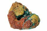 Gemmy Dioptase Clusters with Mimetite - N'tola Mine, Congo #148466-3